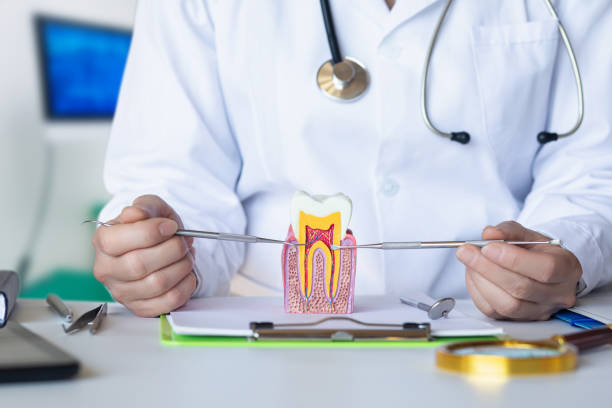 Best Emergency Tooth Extraction in League City, TX